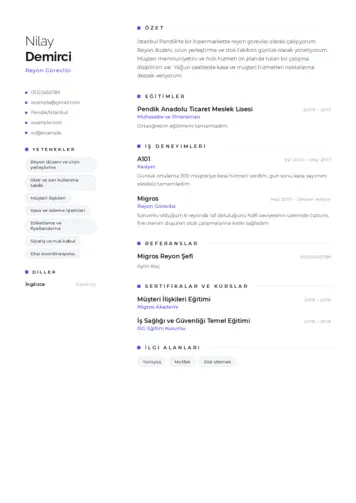 Reyon Görevlisi cv indir